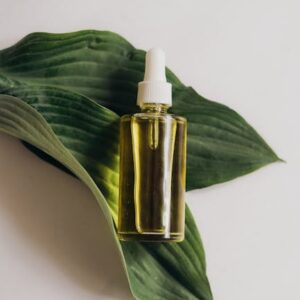 A Bottle of Serum on Green Leaves